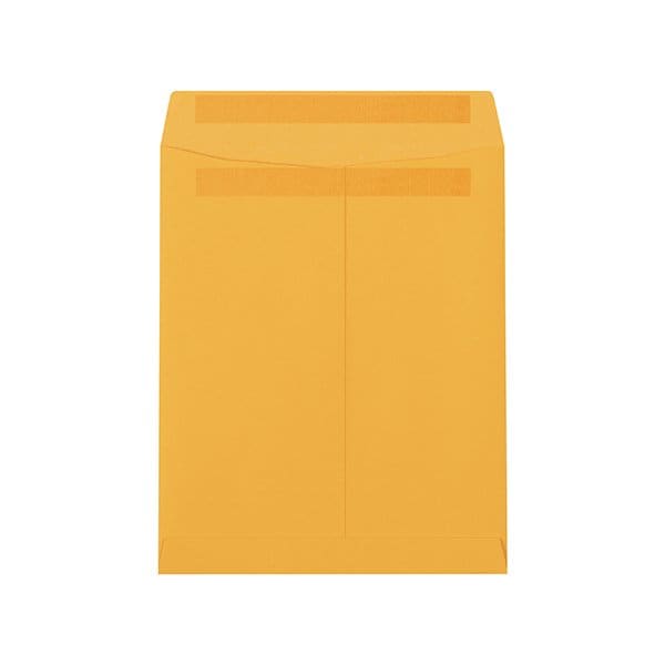 Bsc Preferred 9 x 12'' Kraft Redi-Seal Envelopes, 500PK BUY00029074 - main